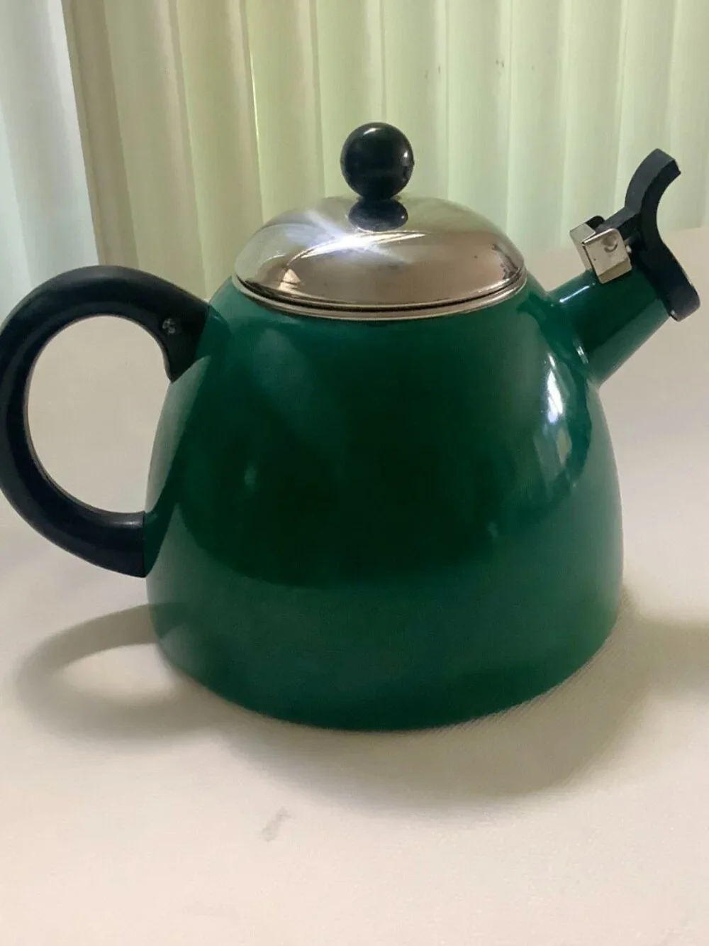 Whistling Tea Kettle Green